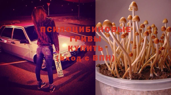 твердый Баксан