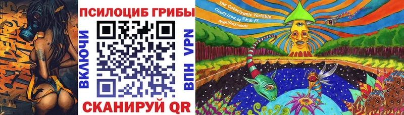 Псилоцибиновые грибы Psilocybine cubensis Плёс